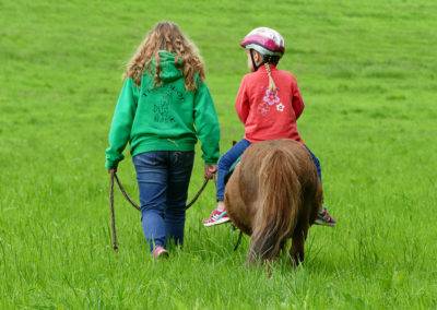 Ponys füttern, pflegen und reiten auf dem Tiggeshof in Ainkhausen. Der Bio-, Lern- und Erlebnisbauernhof im Sauerland.