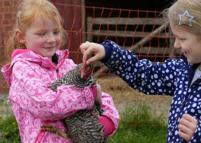 Fangen, auf den Arm nehmen und streicheln. Unsere Hühner lassen sich so einiges von den Kindern gefallen.